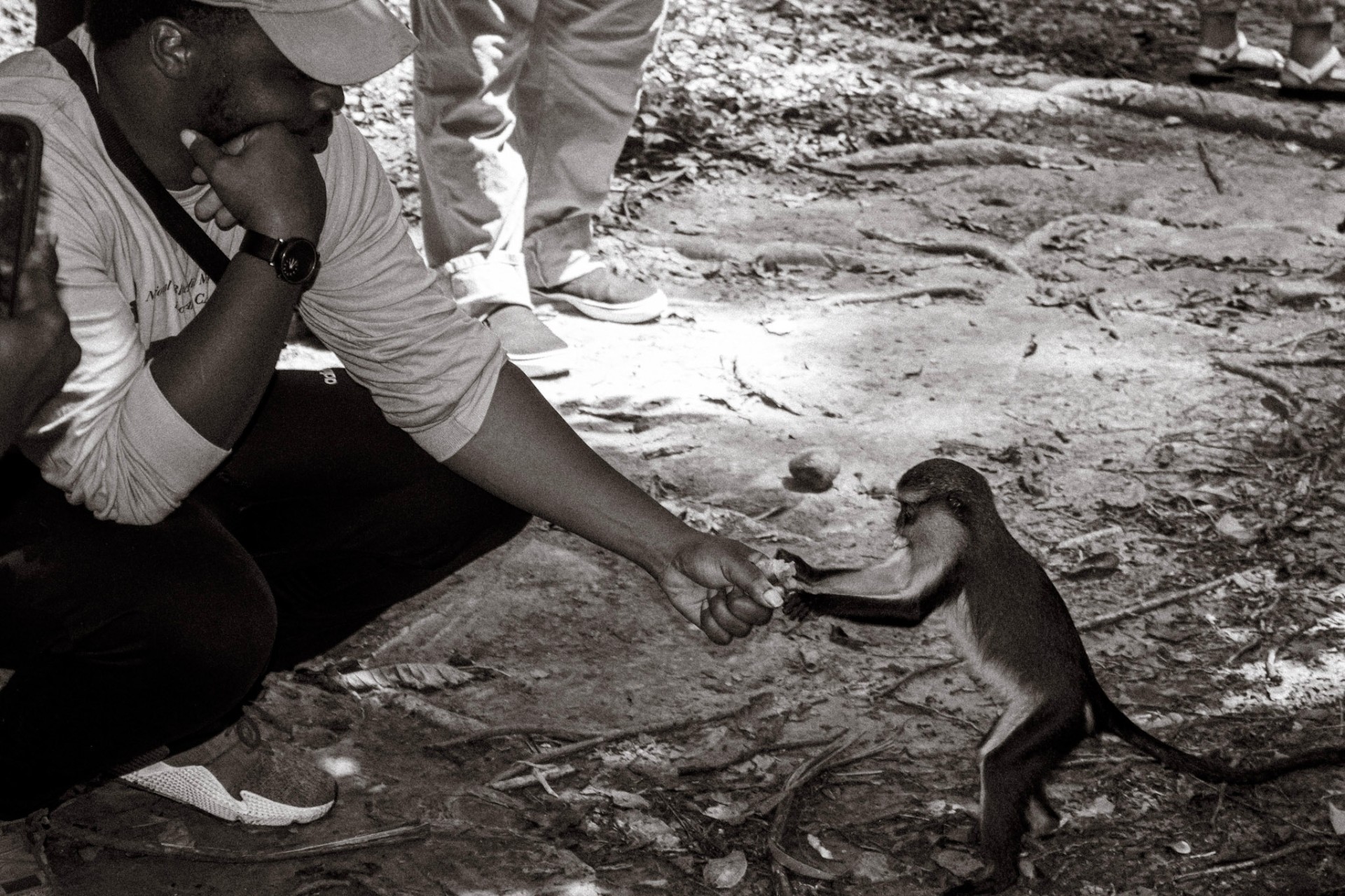 Man offering fruit from his hand to a small monkey