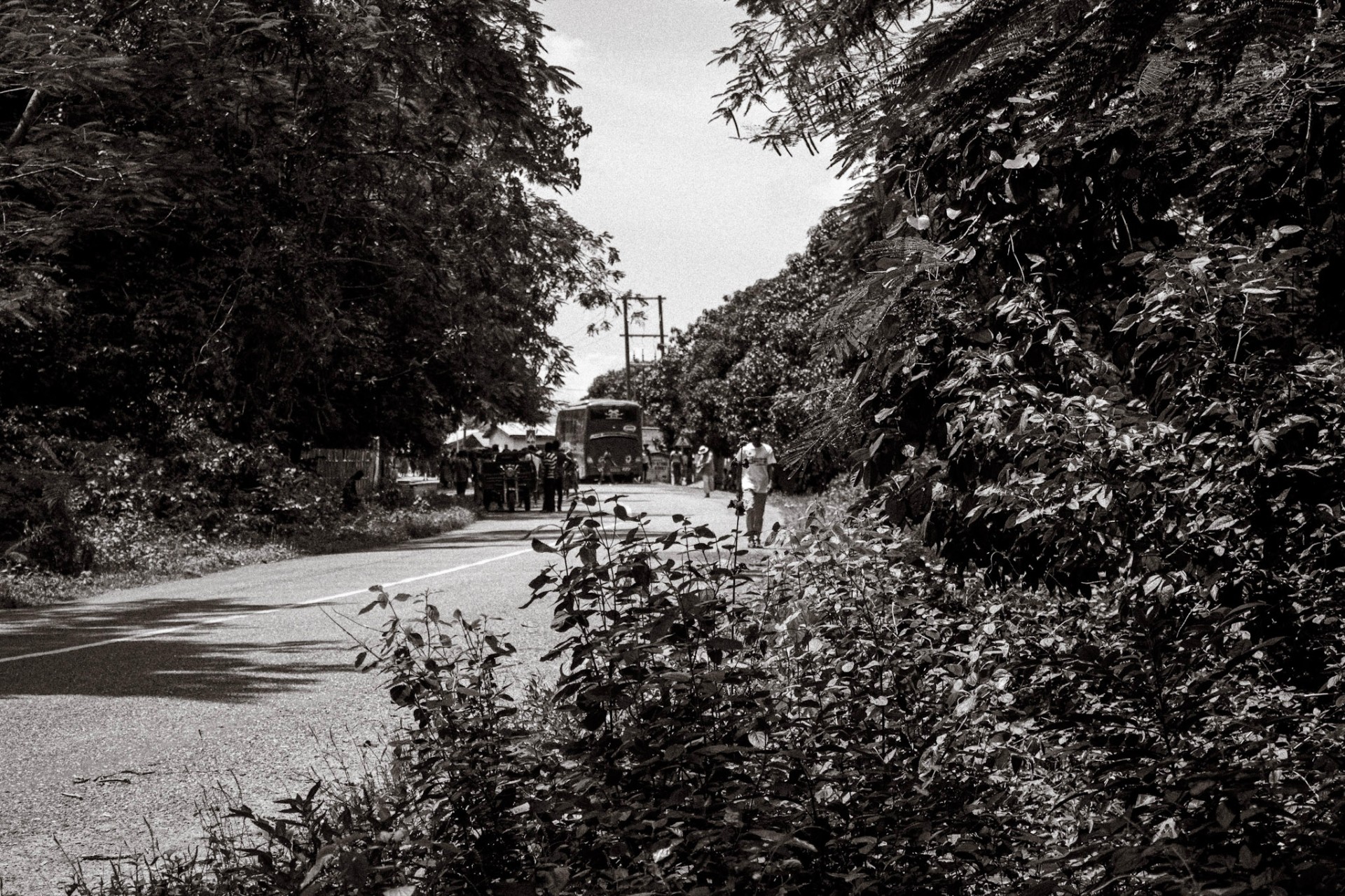 Rural Ghana road lined with dense green foliage and a distant bus