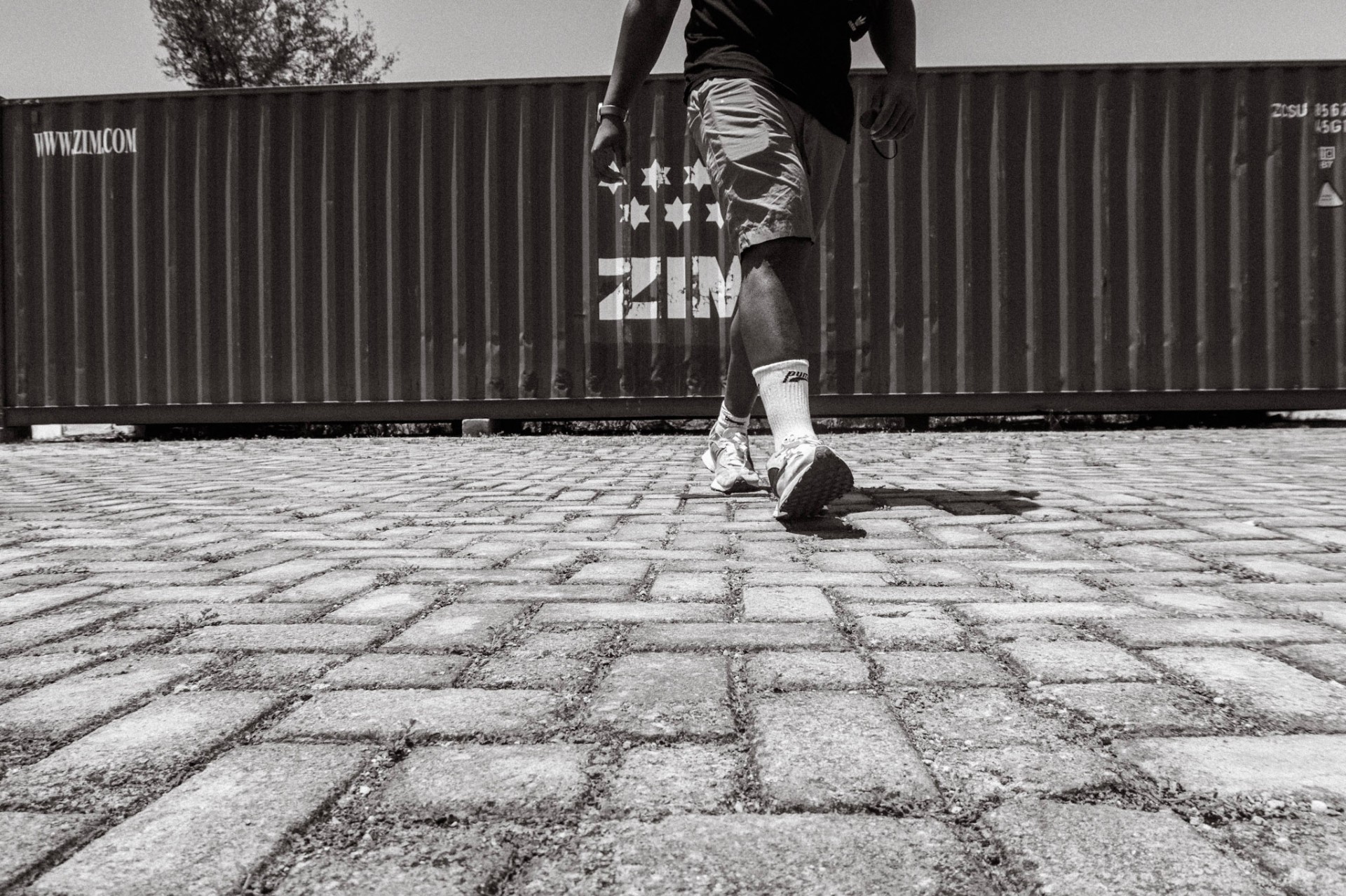 Low angle of cobblestone ground with a walker beside a ZIM container