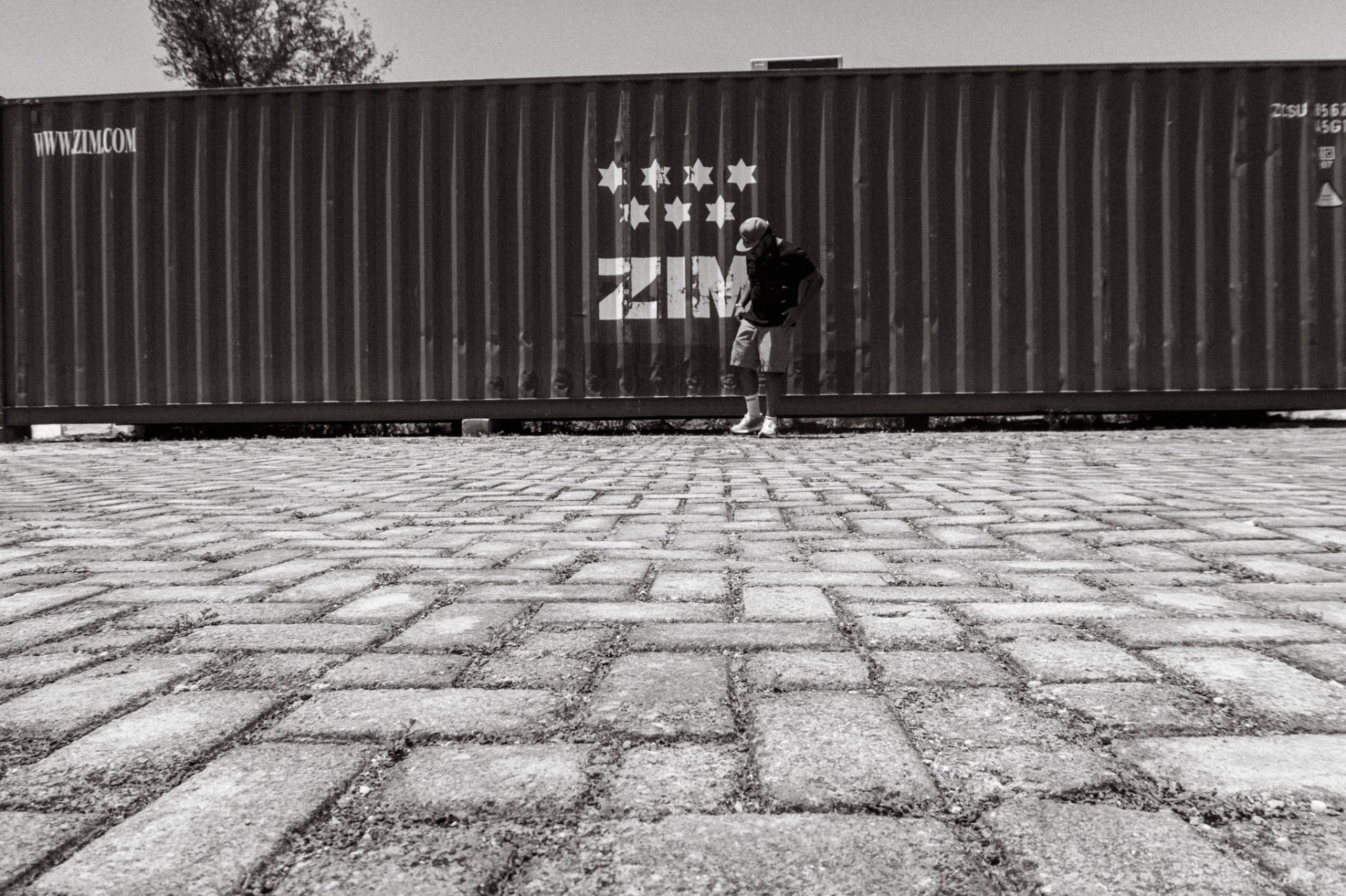 Figure leaning against a ZIM shipping container over cobblestone